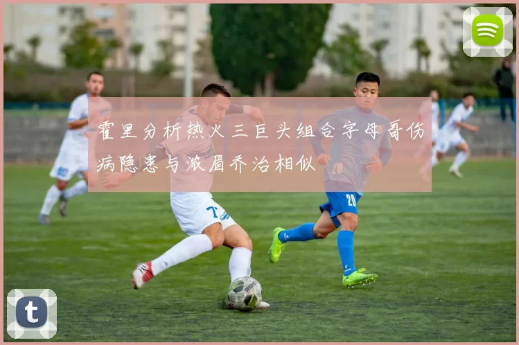 霍里分析热火三巨头组合字母哥伤病隐患与浓眉乔治相似